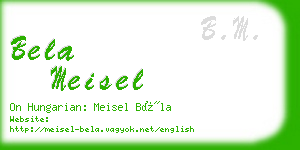 bela meisel business card